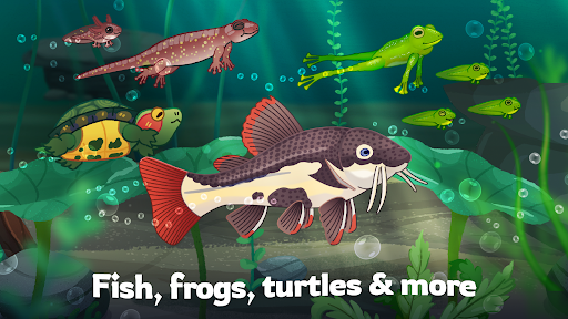 Official Pondlife screenshot showing fish, frogs, turtles, and more